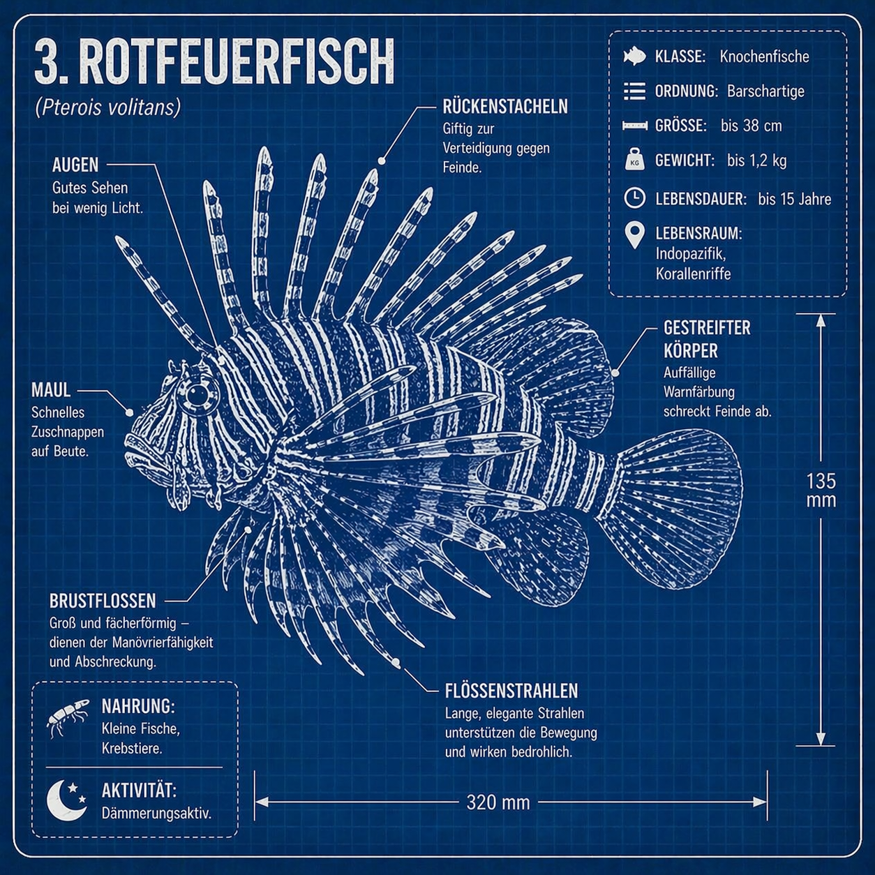Tierwelt entdecken – 20 faszinierende Tiere einfach erklärt